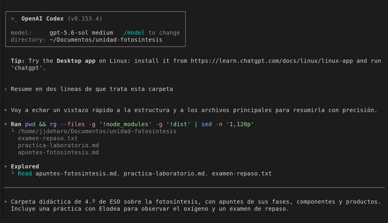 Codex responde a una pregunta sobre los archivos de la carpeta