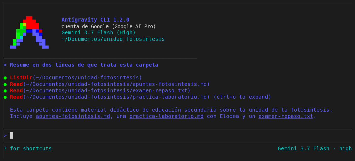 Antigravity CLI resume el contenido de una carpeta